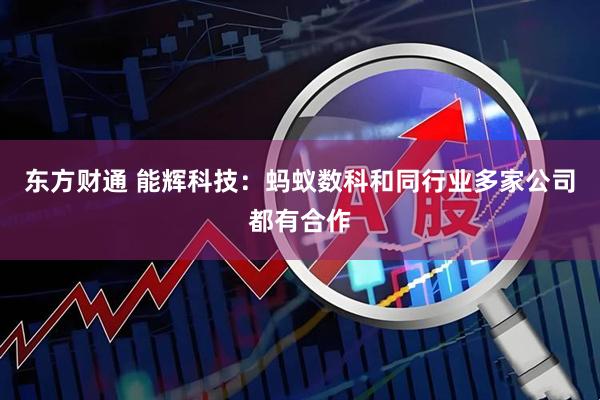 东方财通 能辉科技：蚂蚁数科和同行业多家公司都有合作