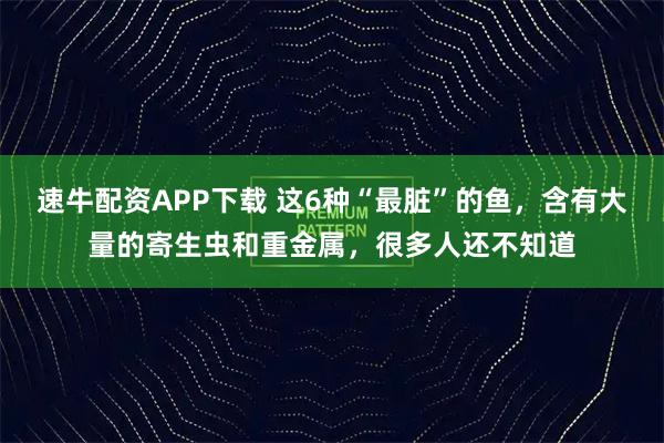 速牛配资APP下载 这6种“最脏”的鱼,含有大量的寄生虫和重金属,很多人还不知道