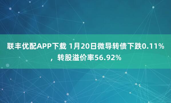 联丰优配APP下载 1月20日微导转债下跌0.11%，转股溢价率56.92%